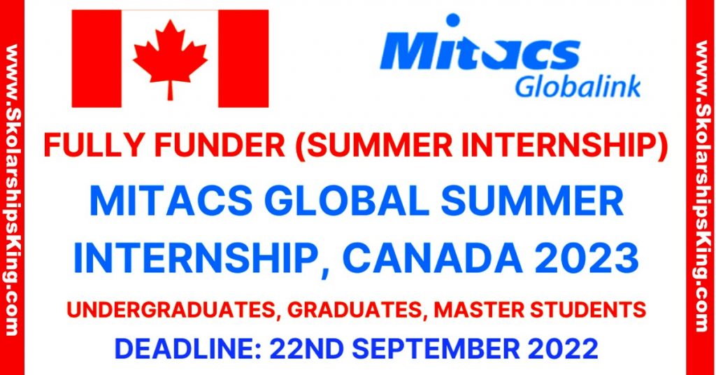 Mitacs Global Summer Internship 2023